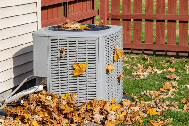 Best Local HVAC Companies  in Morenci, AZ